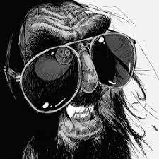 Pepe Farruqo